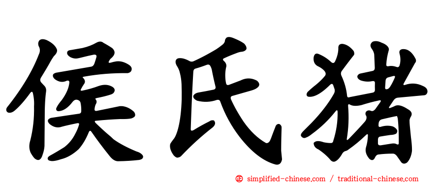 侯氏猪
