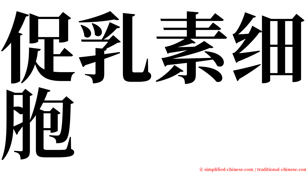 促乳素细胞 serif font