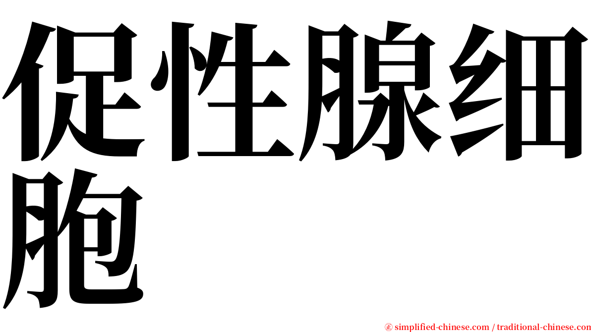 促性腺细胞 serif font