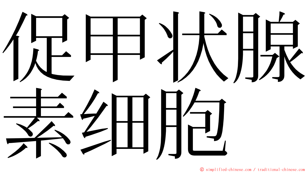 促甲状腺素细胞 ming font