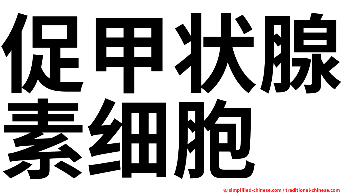 促甲状腺素细胞