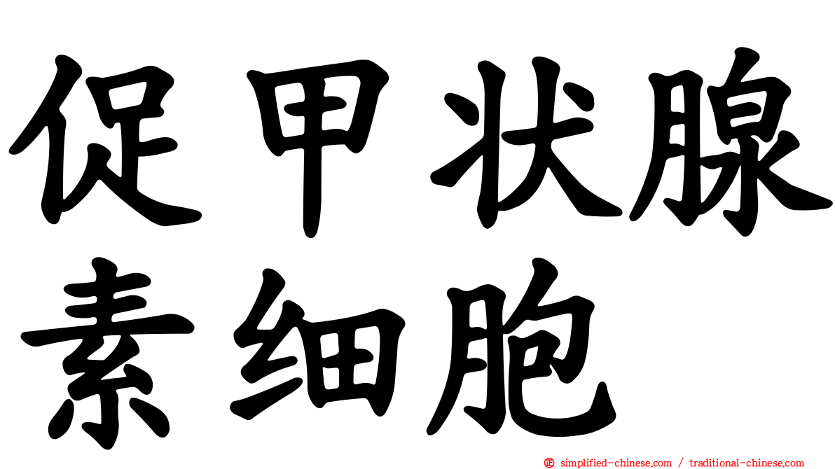 促甲状腺素细胞