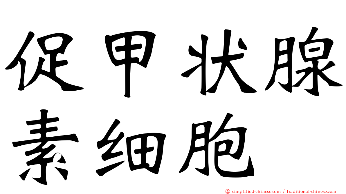 促甲状腺素细胞