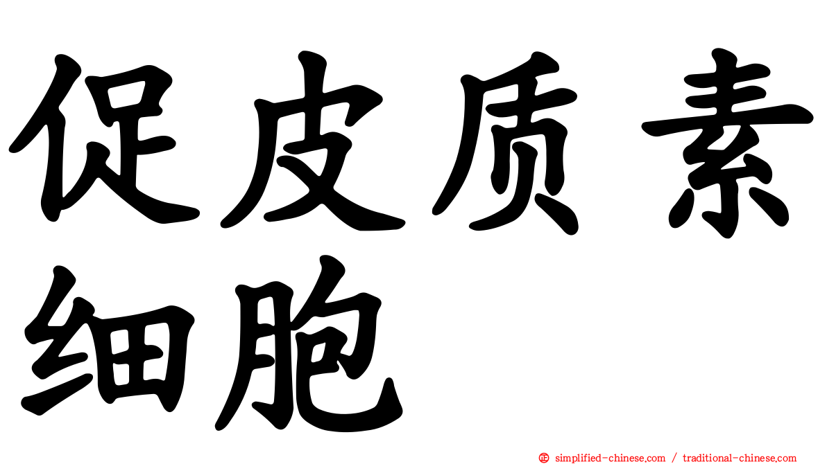 促皮质素细胞