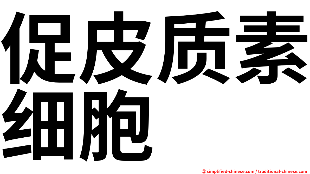 促皮质素细胞