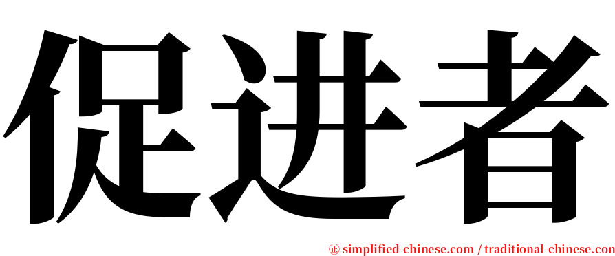 促进者 serif font