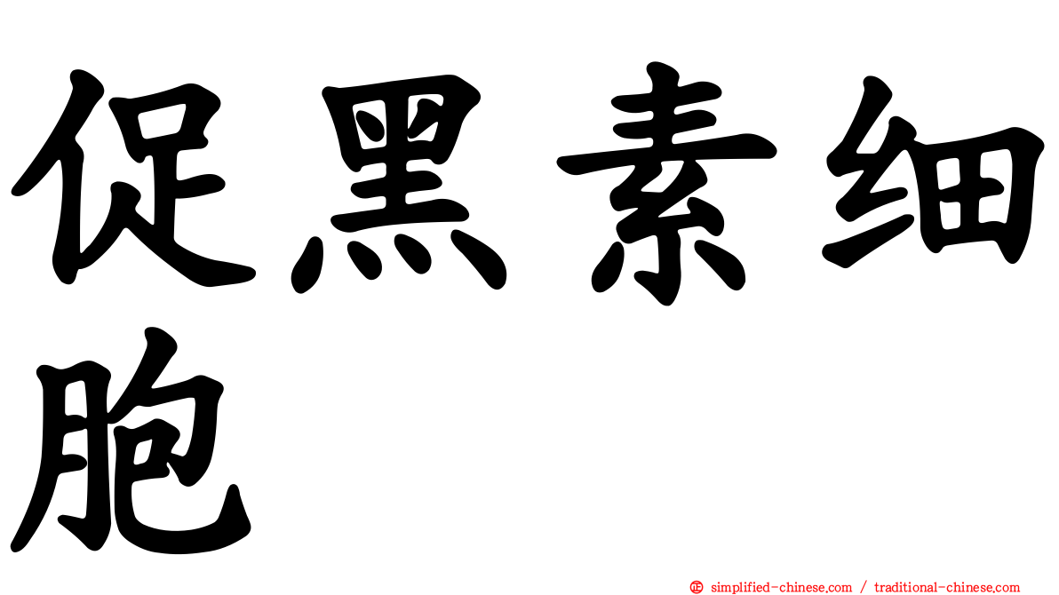 促黑素细胞