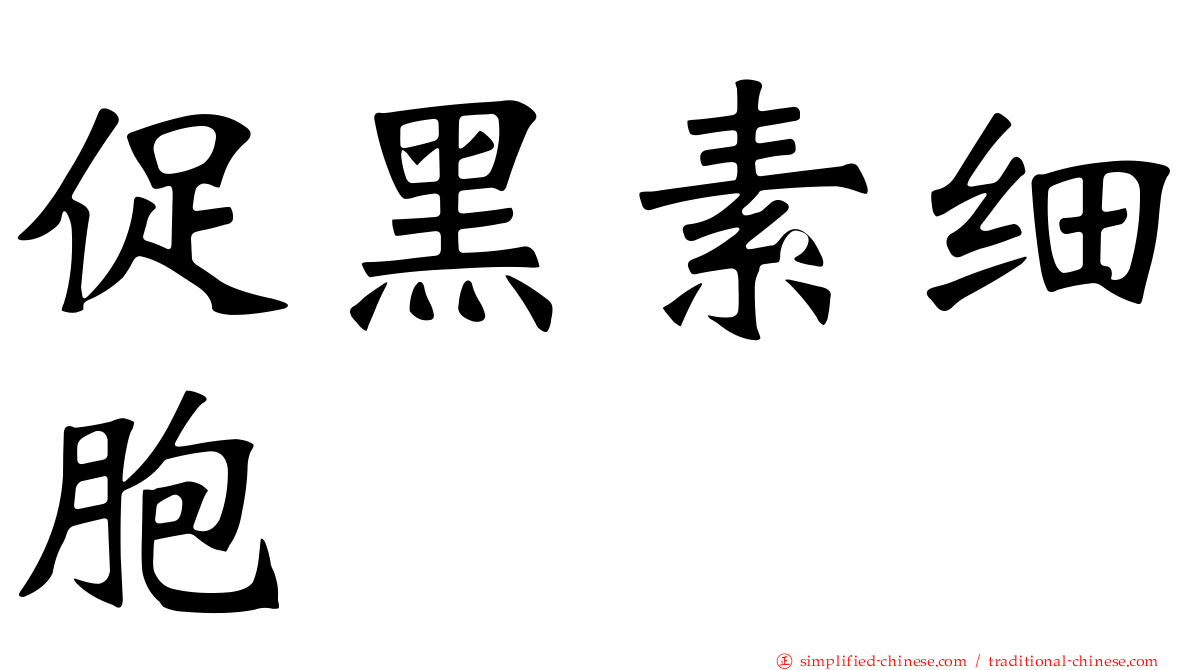 促黑素细胞