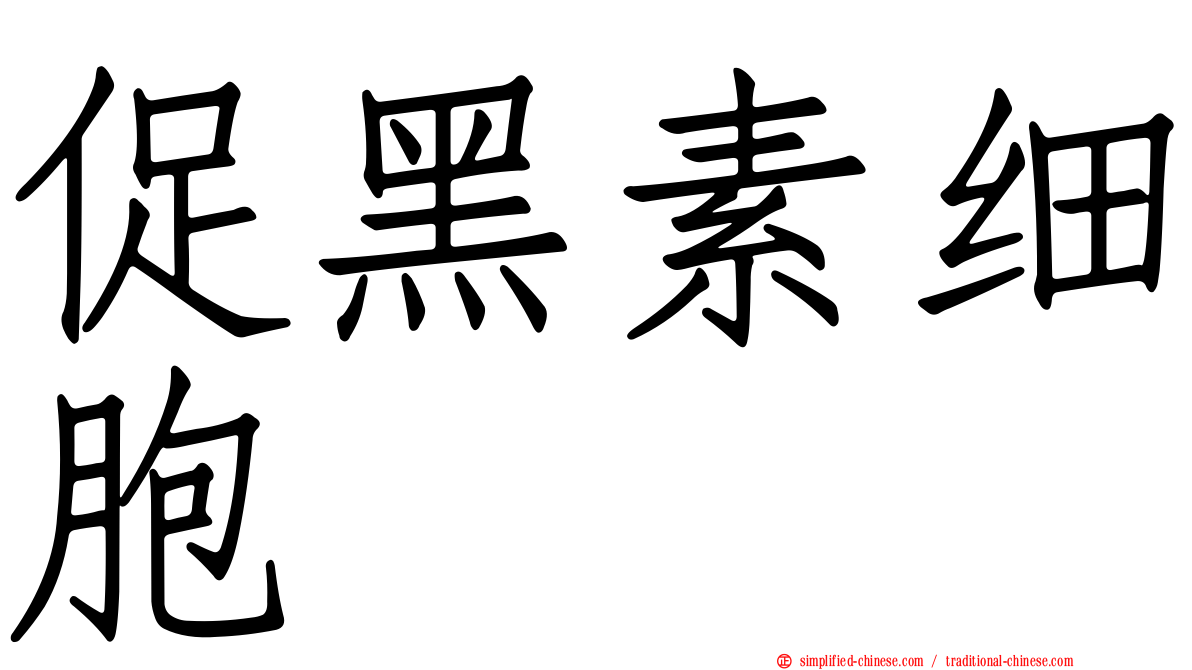 促黑素细胞