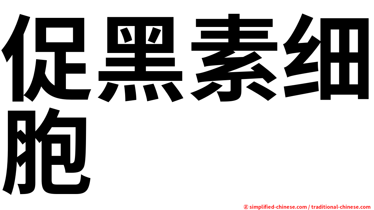 促黑素细胞