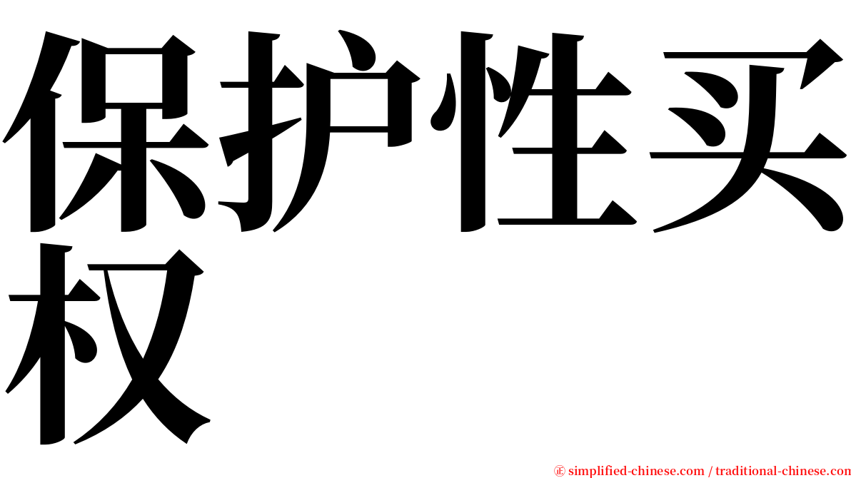 保护性买权 serif font