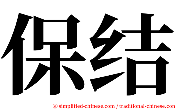 保结 serif font