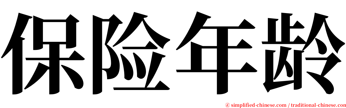保险年龄 serif font