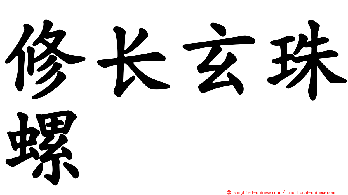 修长玄珠螺