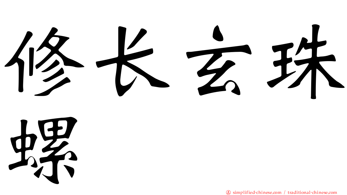 修长玄珠螺