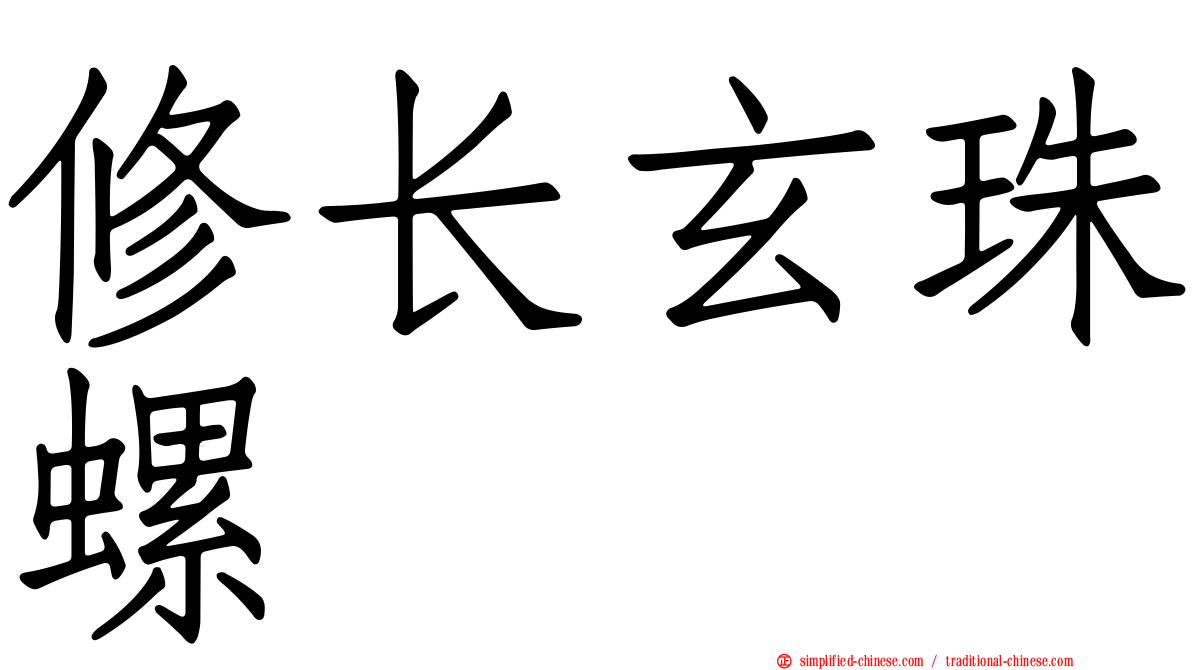 修长玄珠螺