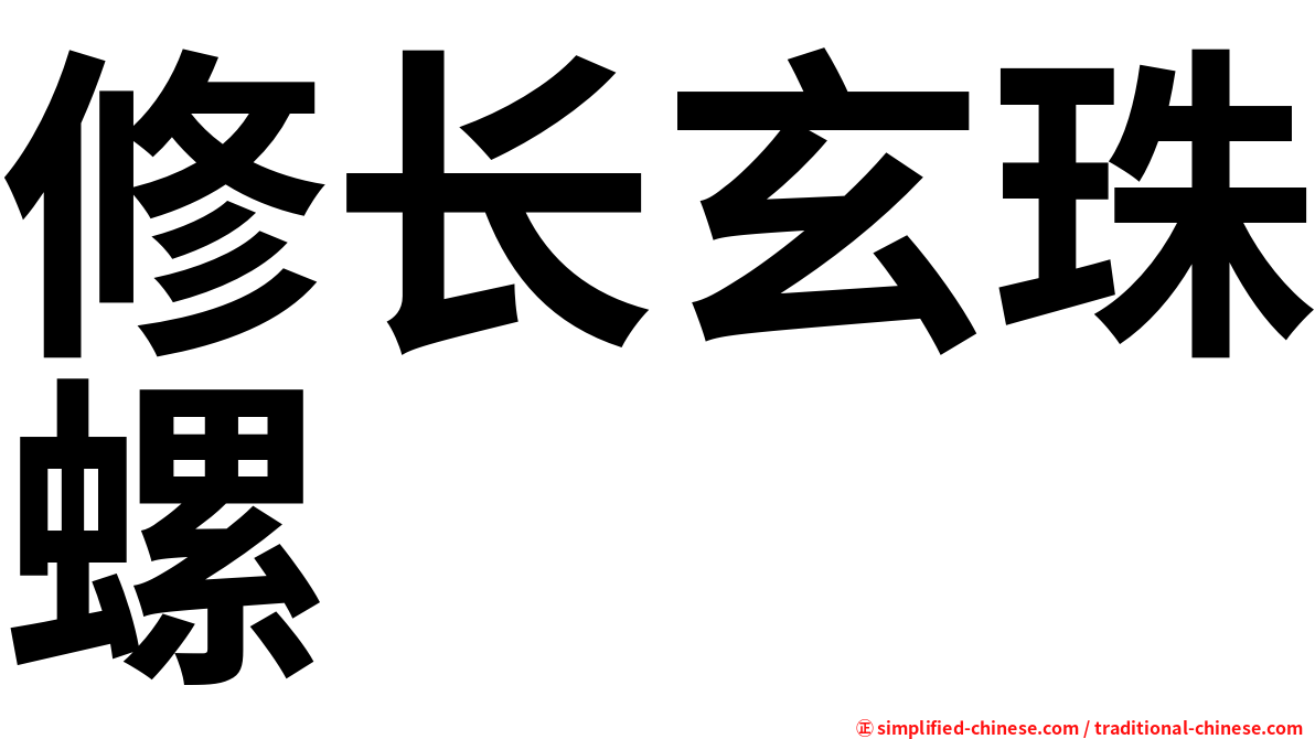 修长玄珠螺