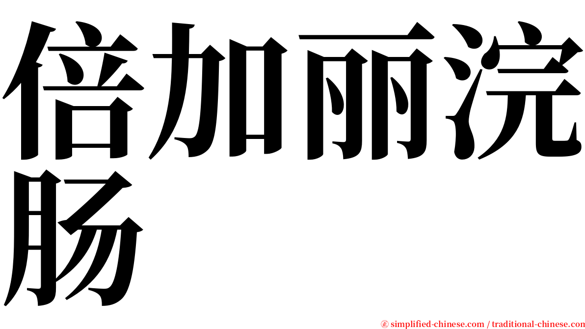 倍加丽浣肠 serif font