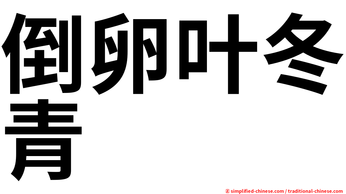 倒卵叶冬青