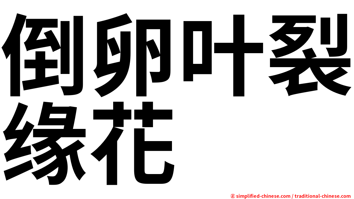 倒卵叶裂缘花