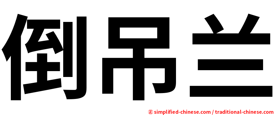 倒吊兰