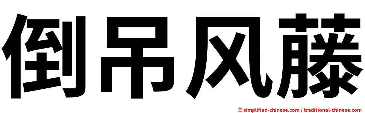 倒吊风藤