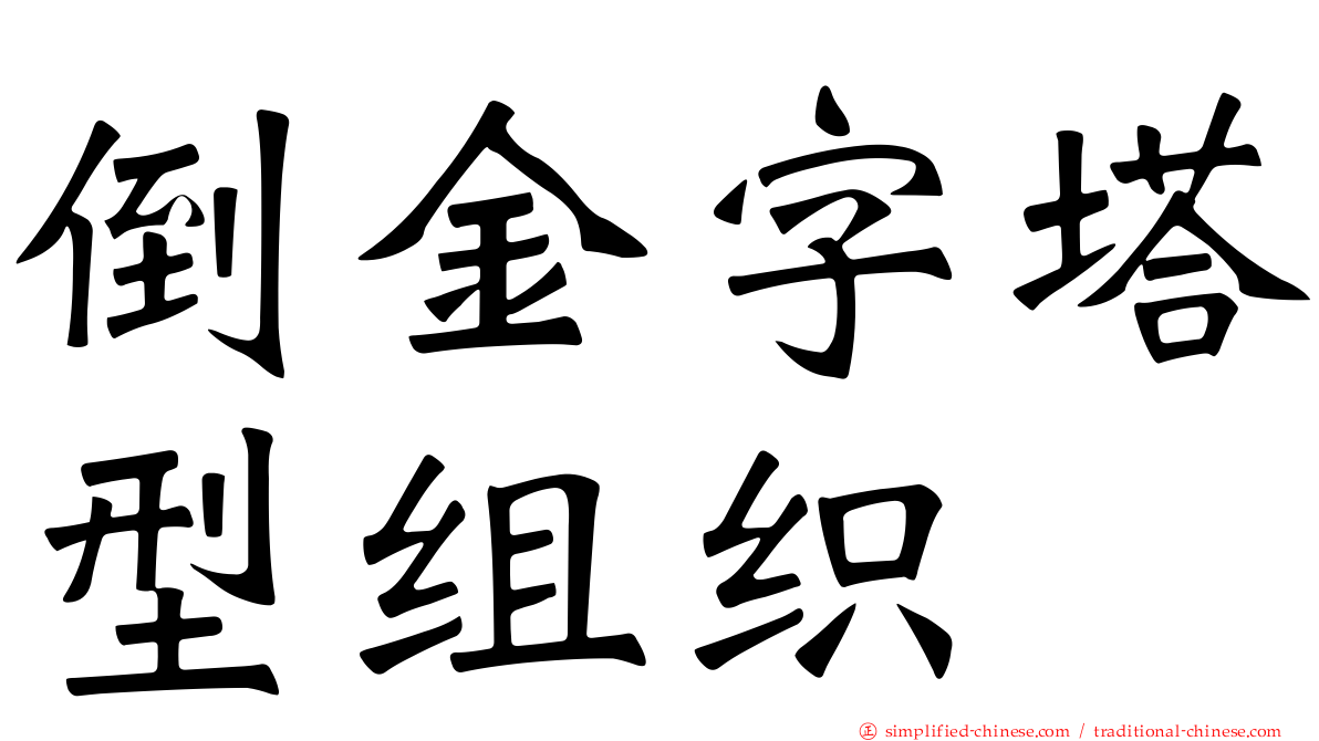 倒金字塔型组织