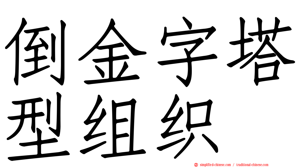 倒金字塔型组织