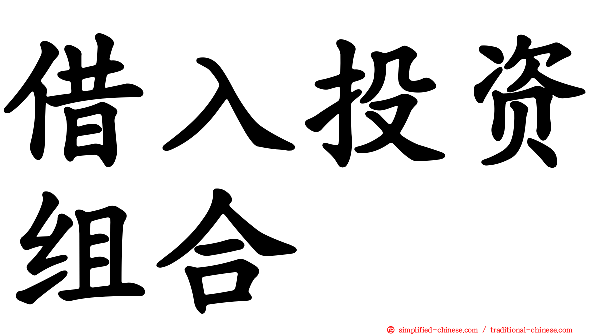 借入投资组合