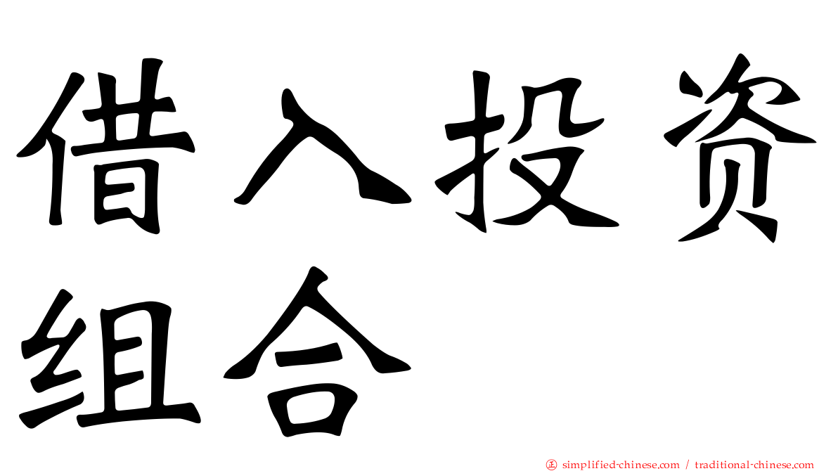借入投资组合