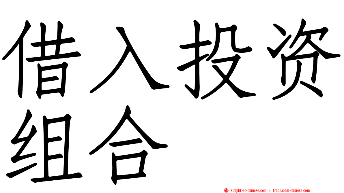 借入投资组合