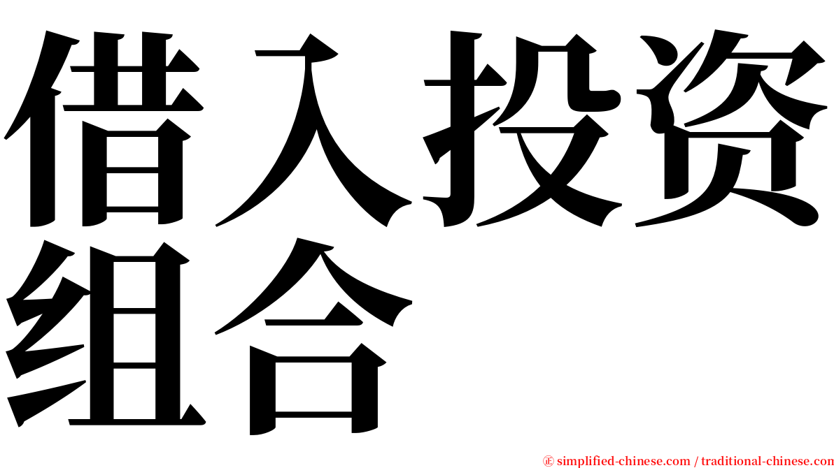 借入投资组合 serif font