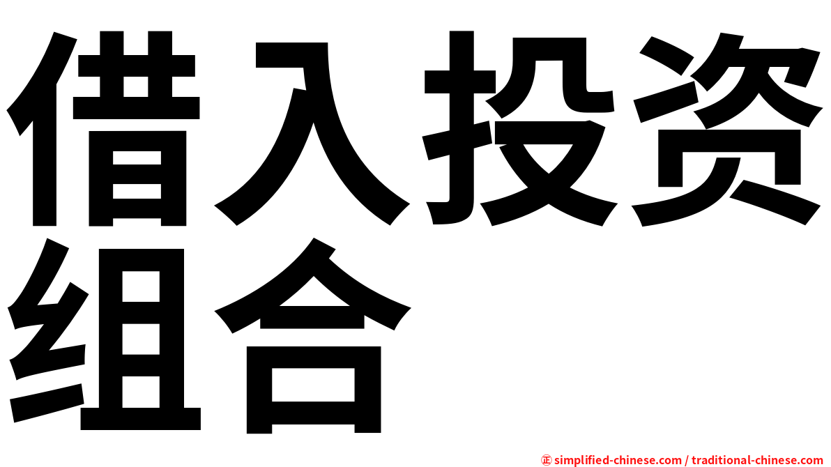 借入投资组合