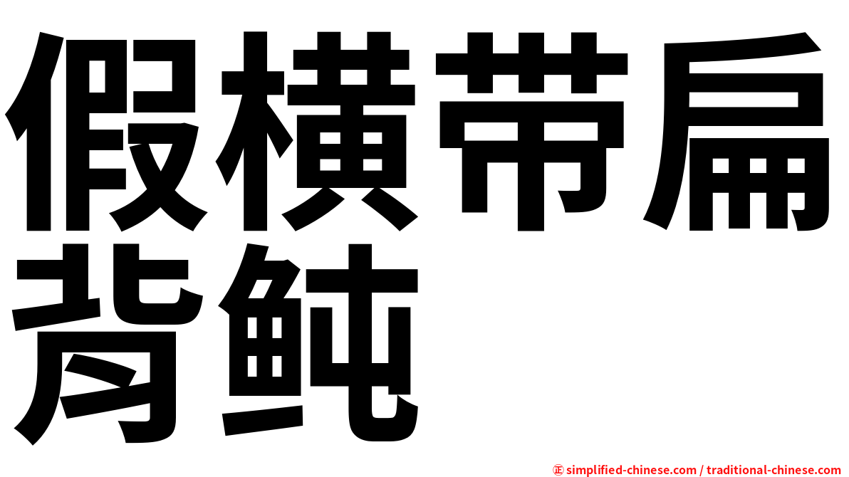 假横带扁背鲀