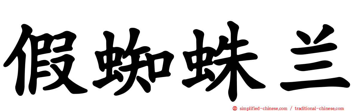 假蜘蛛兰
