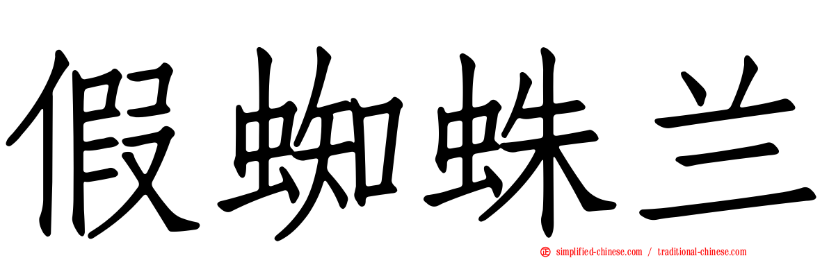 假蜘蛛兰