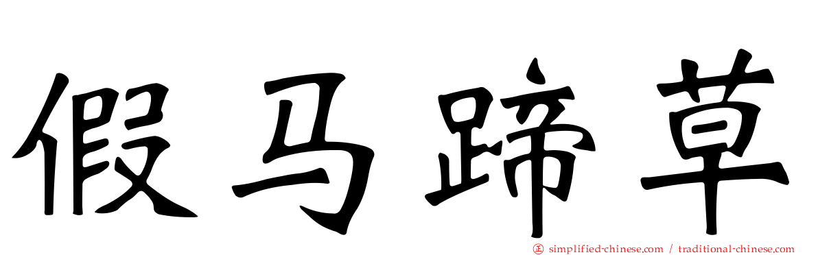 假马蹄草