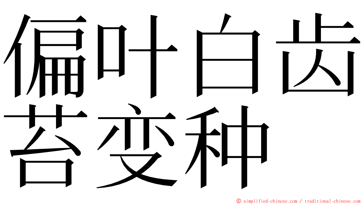 偏叶白齿苔变种 ming font