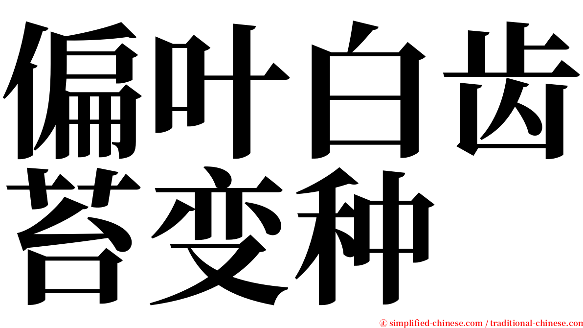 偏叶白齿苔变种 serif font