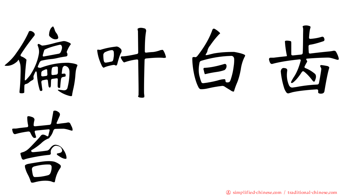 偏叶白齿苔