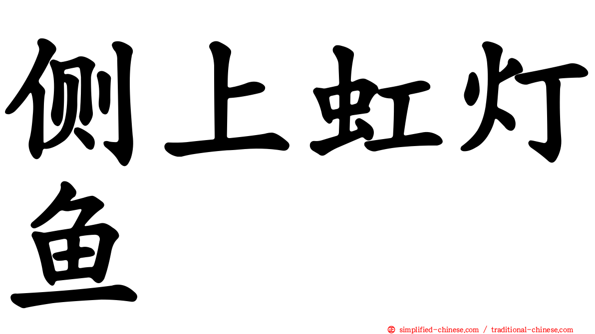 侧上虹灯鱼