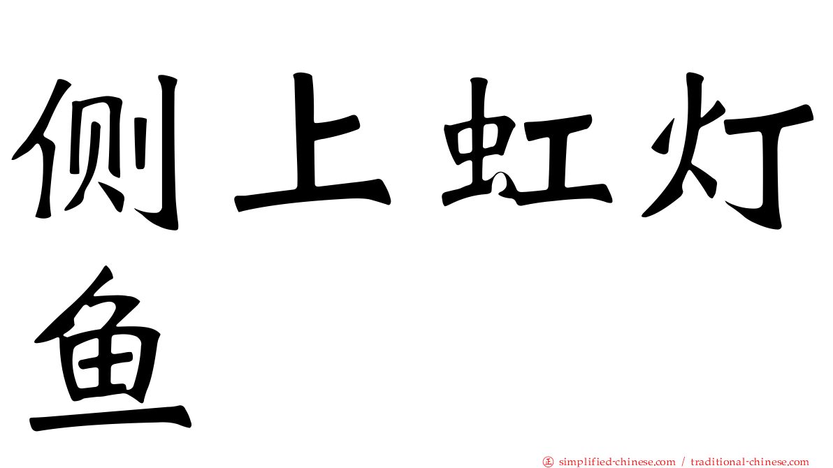 侧上虹灯鱼