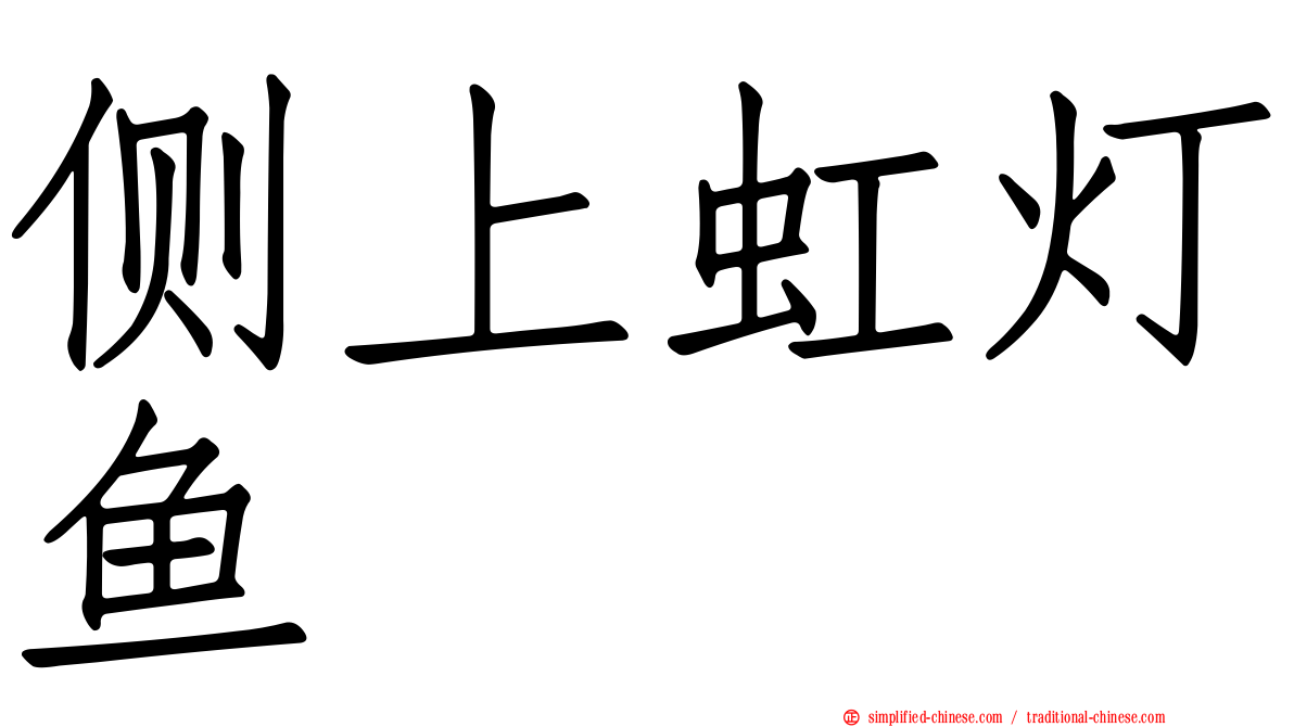 侧上虹灯鱼