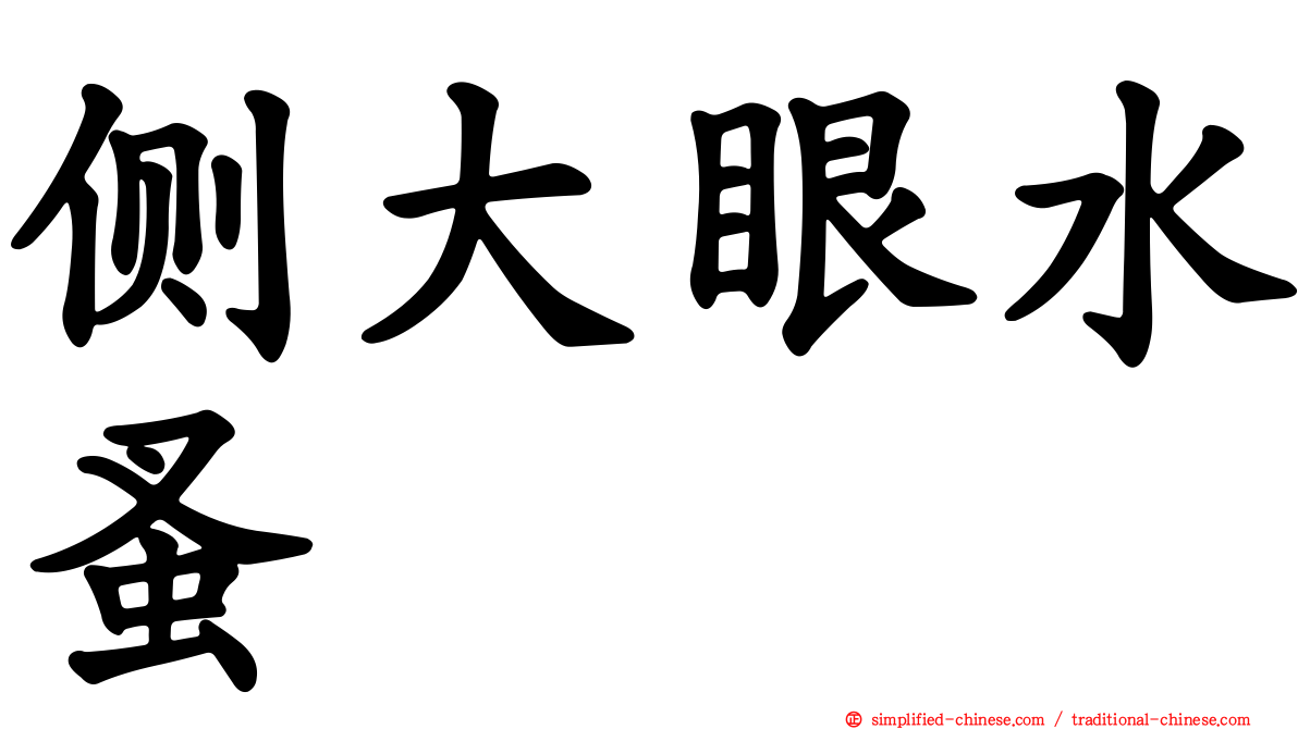 侧大眼水蚤