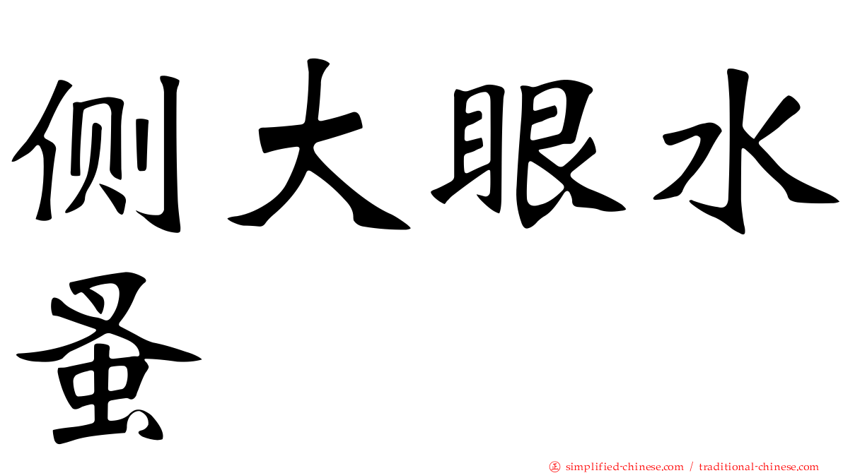 侧大眼水蚤