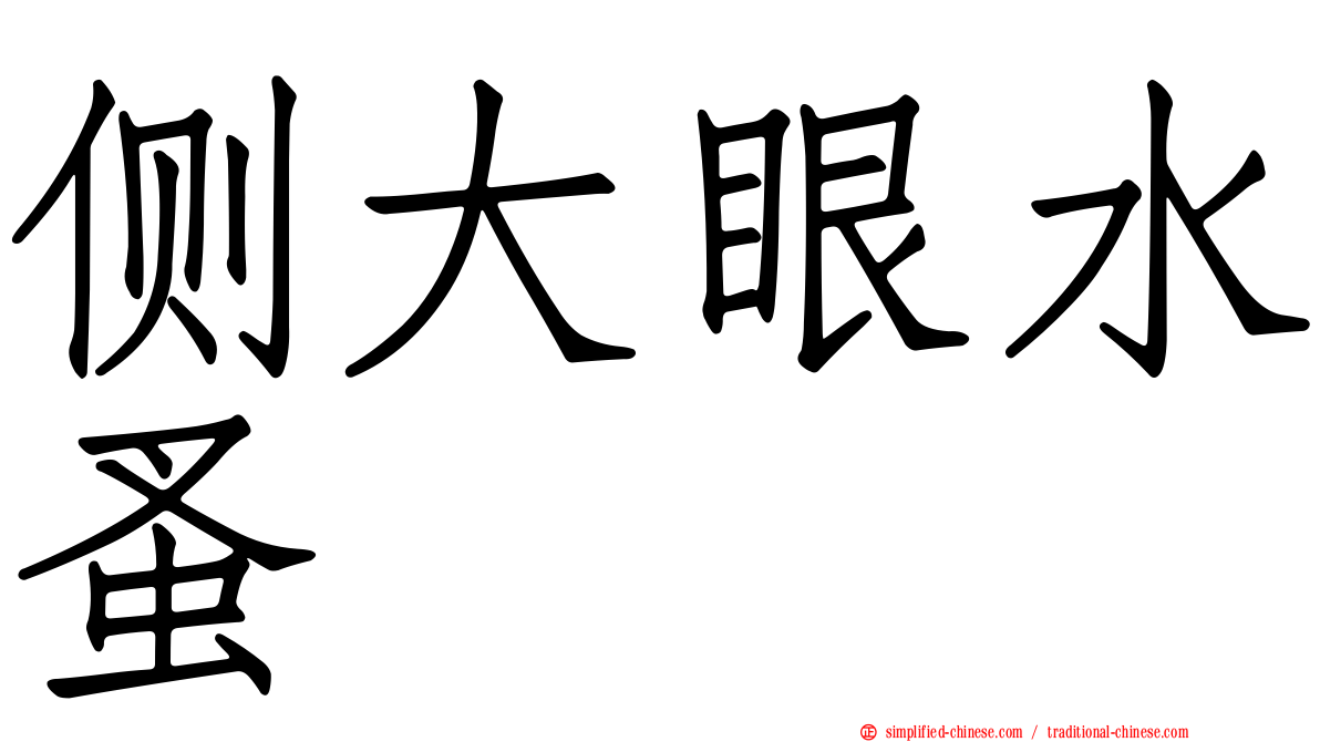 侧大眼水蚤