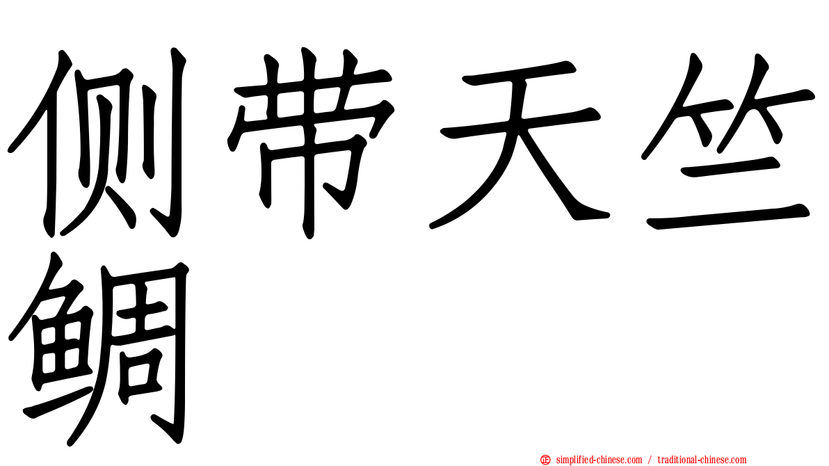 侧带天竺鲷