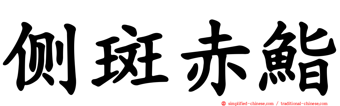侧斑赤鮨