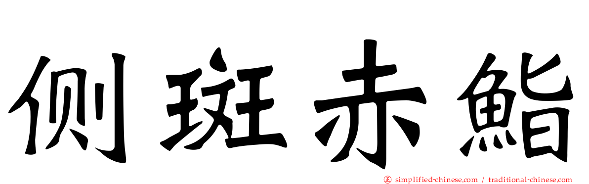 侧斑赤鮨
