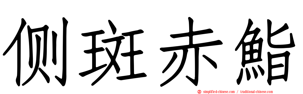 侧斑赤鮨